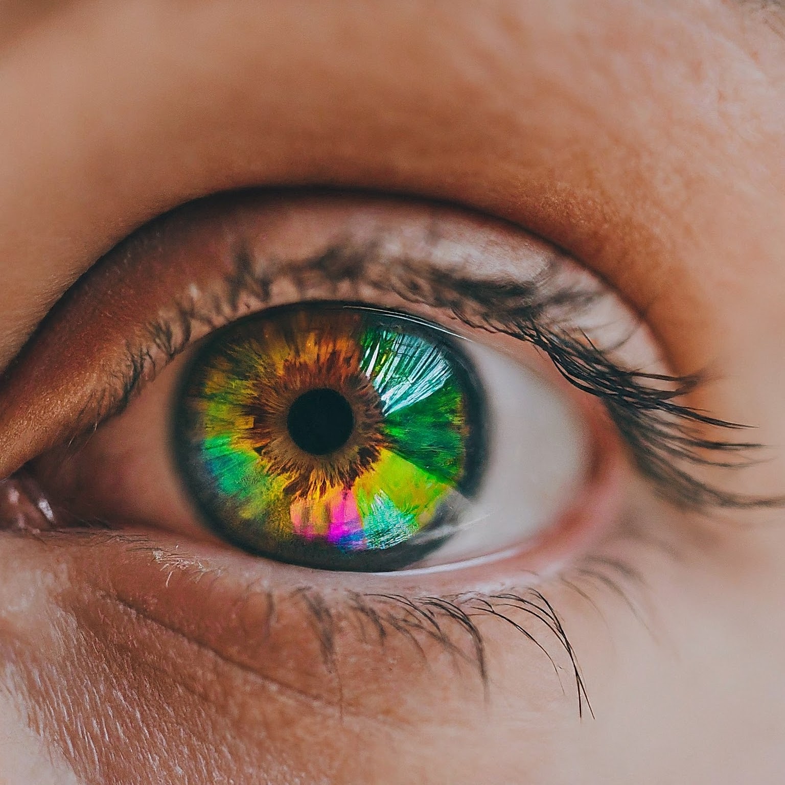 The 20th Century Concepts Of Personality Theory